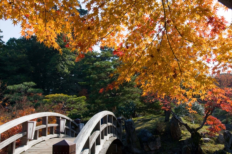 1019_彦根城_滋賀