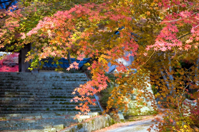 1034_東光寺_滋賀