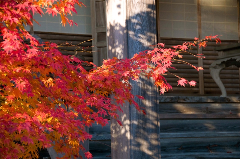 1037_東光寺_滋賀