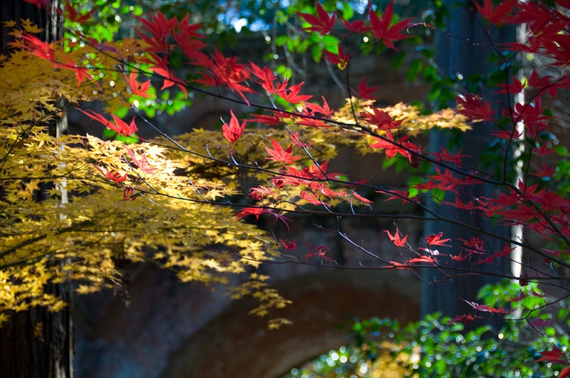 1094_洛東 南禅寺_京都