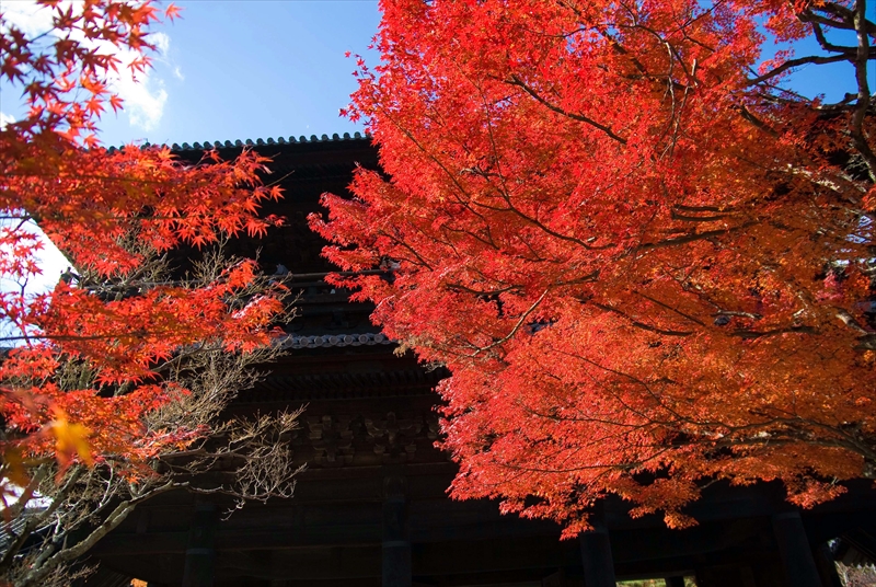 1096_洛東 南禅寺_京都
