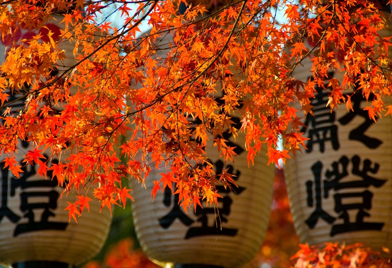 1004_京都 長岡天満宮_京都