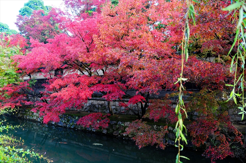 1047_倉敷美観地区_岡山