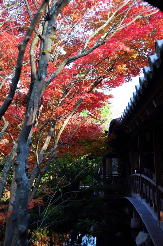 1005_姫路城_兵庫