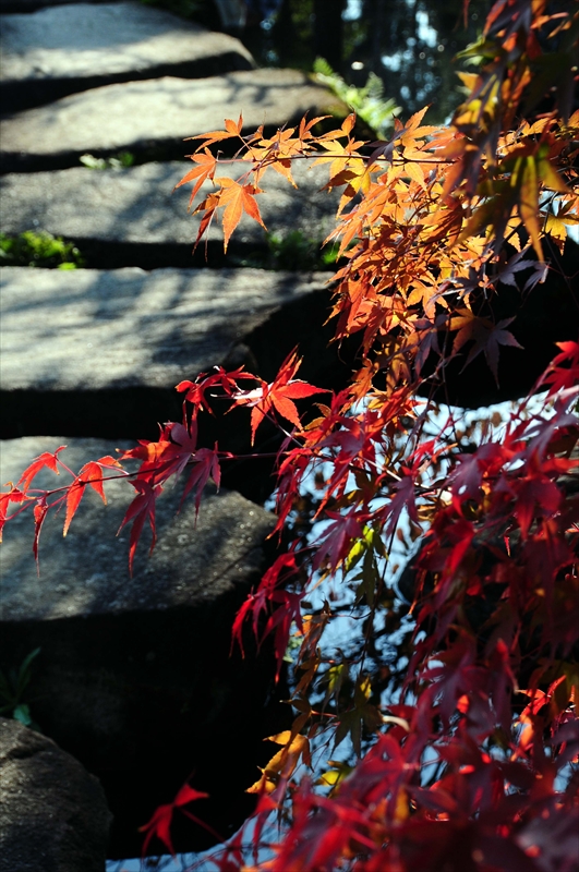 1006_姫路城_兵庫