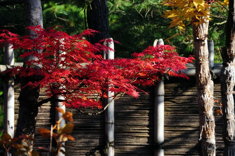 1008_姫路城_兵庫