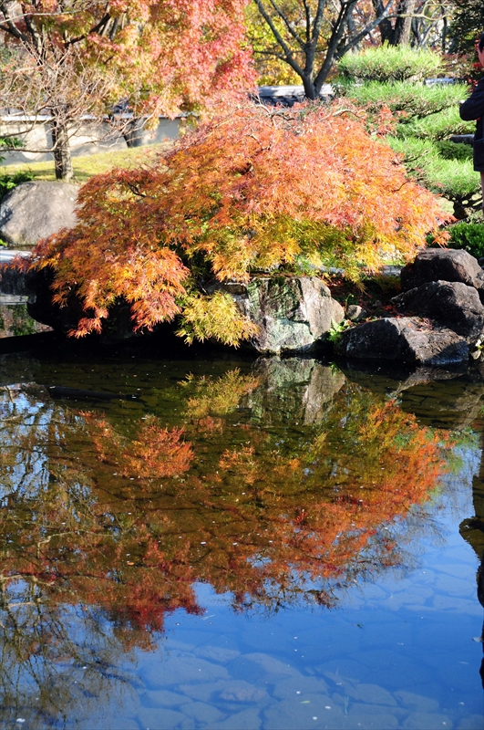 1012_姫路城_兵庫