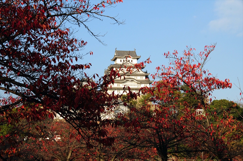 1017_姫路城_兵庫