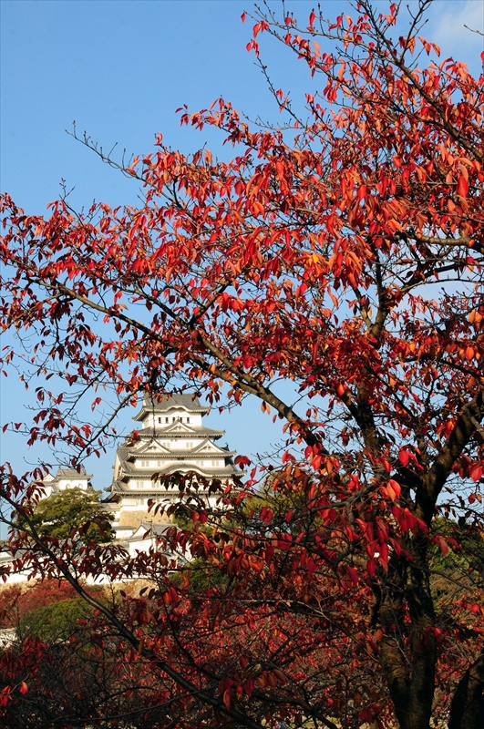 1018_姫路城_兵庫