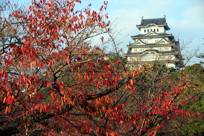 1022_姫路城_兵庫