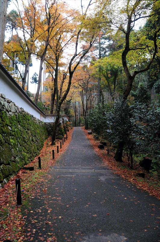 1040_洛北 三千院_京都