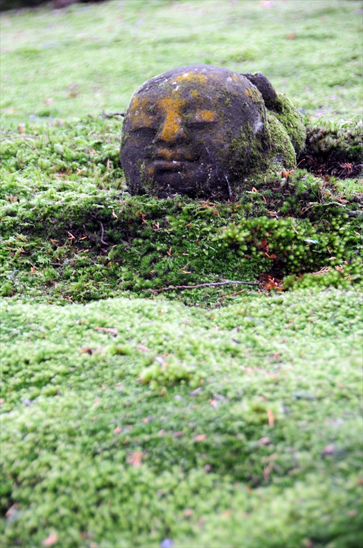 1043_洛北 三千院_京都