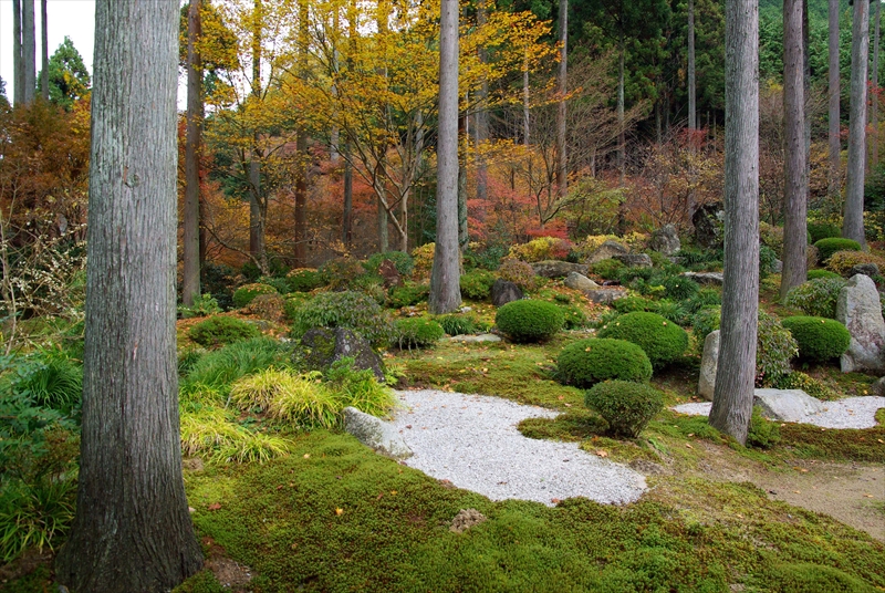 1047_洛北 三千院_京都