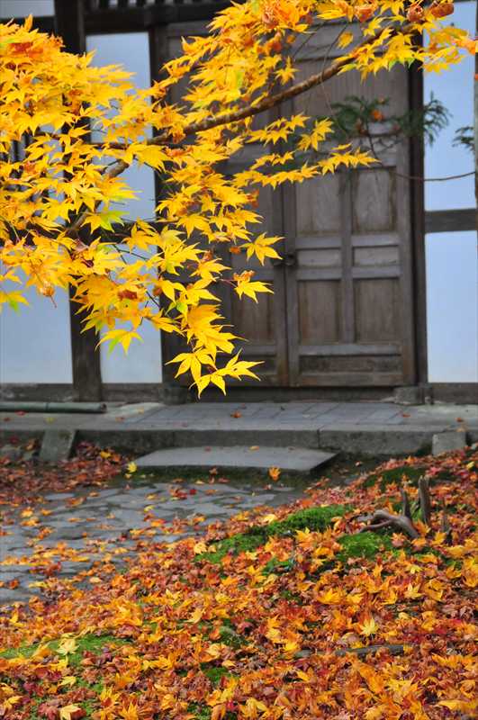 1243_洛東 安楽寺_京都