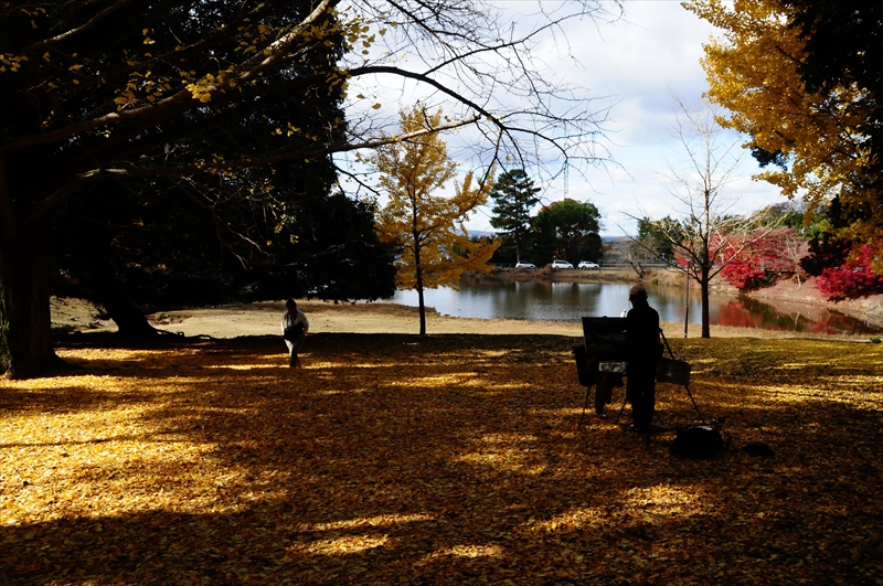 1045_奈良公園_奈良