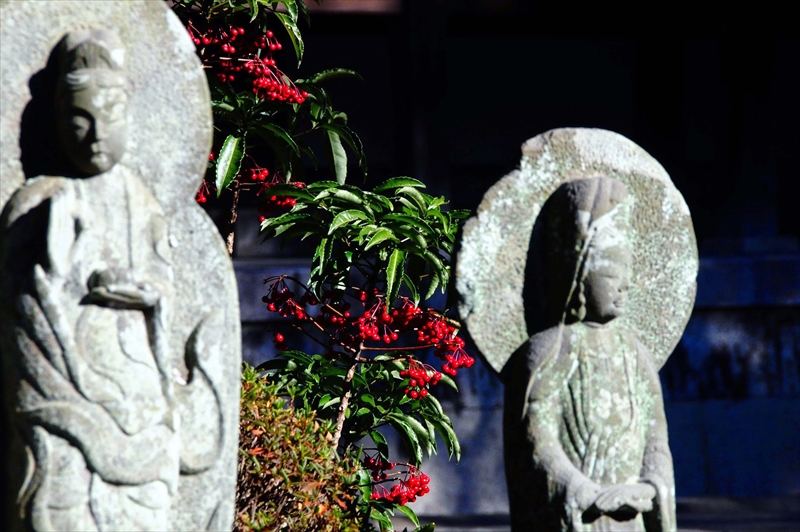 1057_鎌倉円覚寺_神奈川