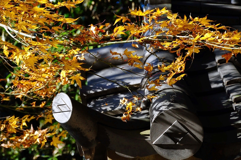 1064_鎌倉円覚寺_神奈川