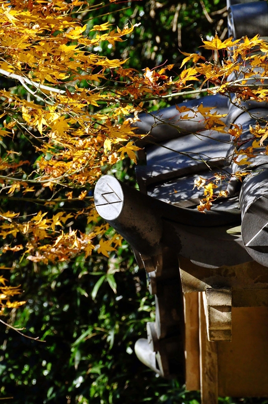 1065_鎌倉円覚寺_神奈川