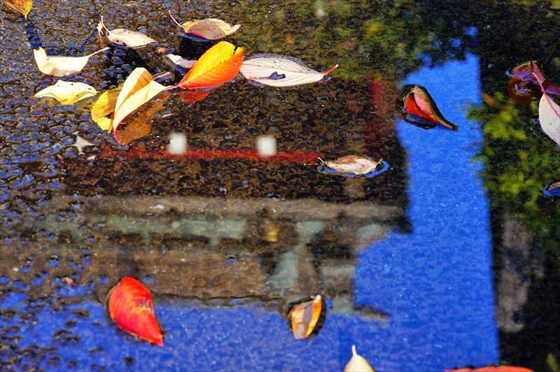 1013_游愁の美_日本