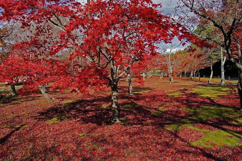 1017_後楽園_岡山