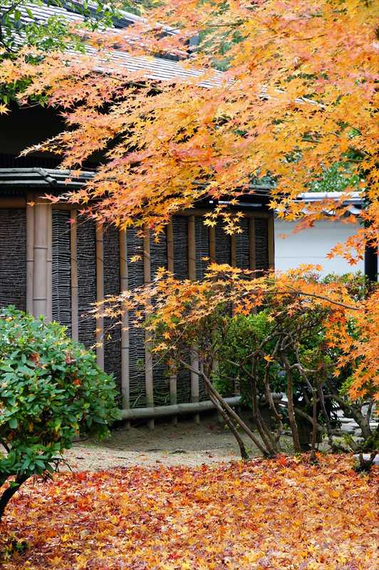 1005_洛南 宇治平等院_京都