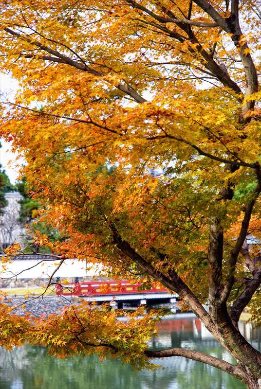 1007_洛南 宇治平等院_京都