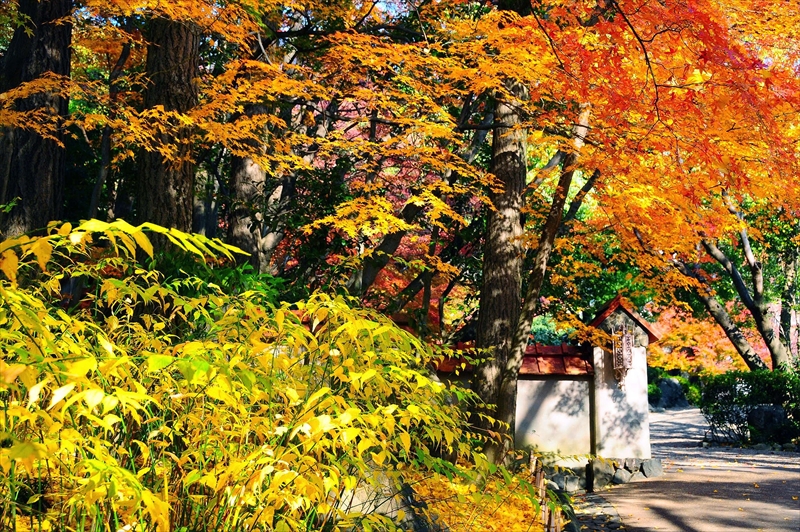 1021_京都 大山崎山荘_京都