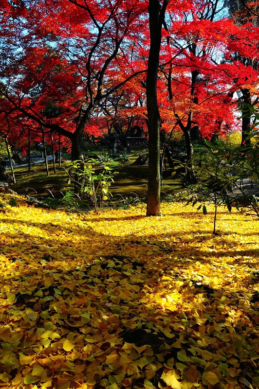 1025_京都 大山崎山荘_京都