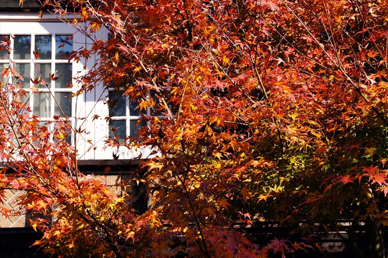 1031_京都 大山崎山荘_京都