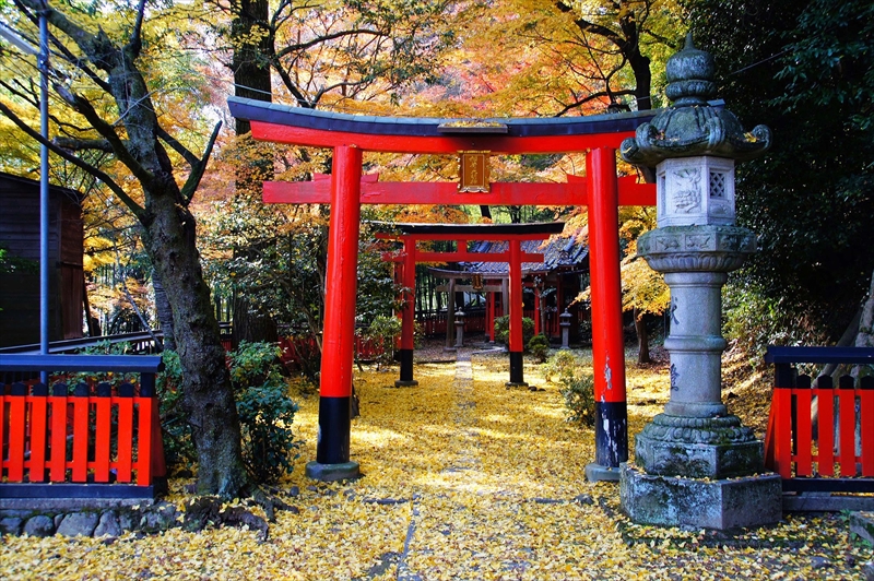 1007_京都 観音寺(山崎聖天)_京都