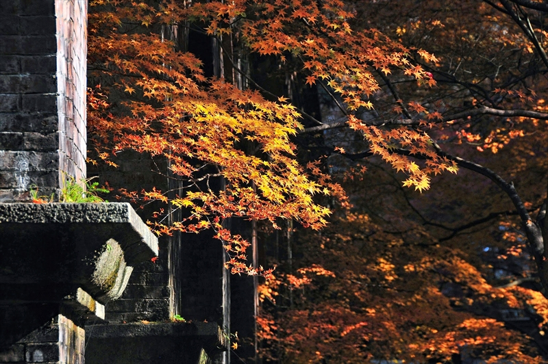 1101_洛東 南禅寺_京都