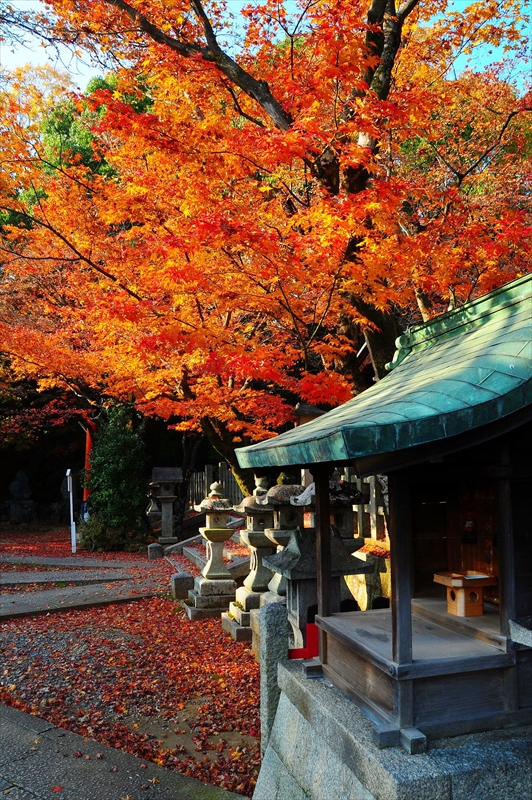 1188_洛東 竹中稲荷神社_京都