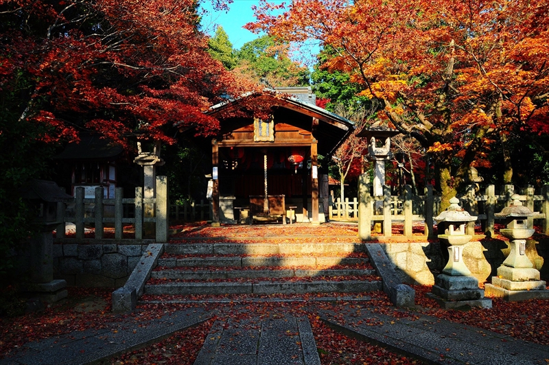 1189_洛東 竹中稲荷神社_京都