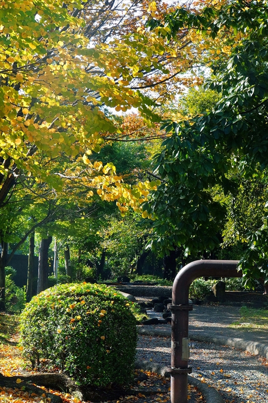 1126_横浜市新羽町_神奈川