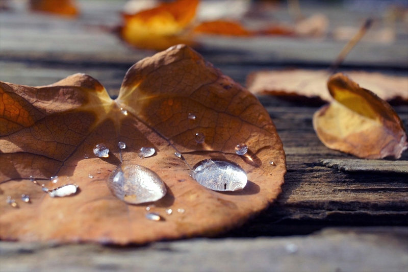 1132_横浜市新羽町_神奈川