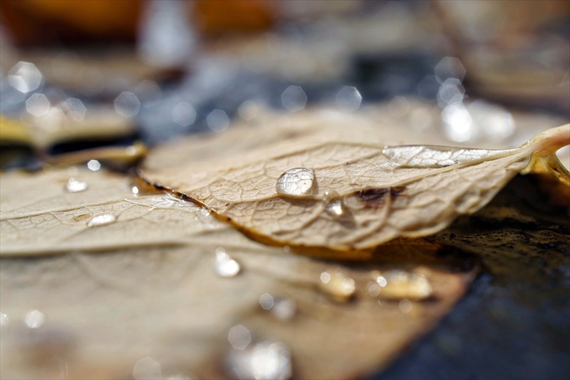 1134_横浜市新羽町_神奈川