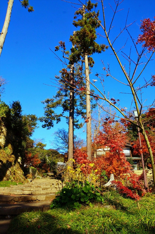 1071_鎌倉円覚寺_神奈川