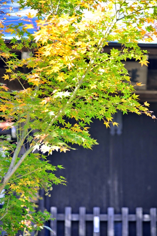 1074_鎌倉円覚寺_神奈川