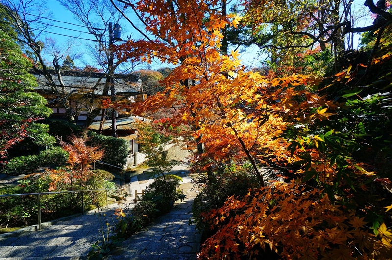1078_鎌倉円覚寺_神奈川