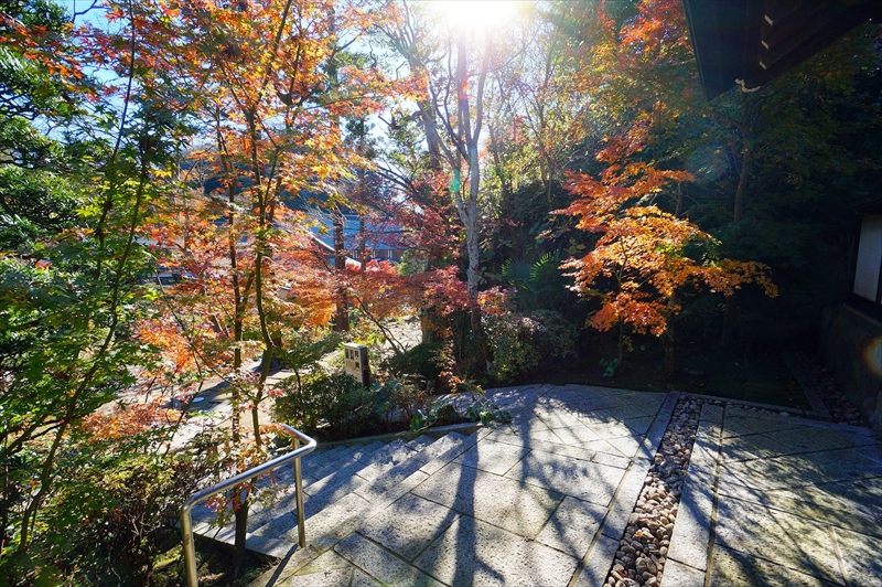 1079_鎌倉円覚寺_神奈川