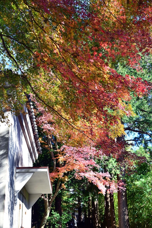 1086_鎌倉円覚寺_神奈川