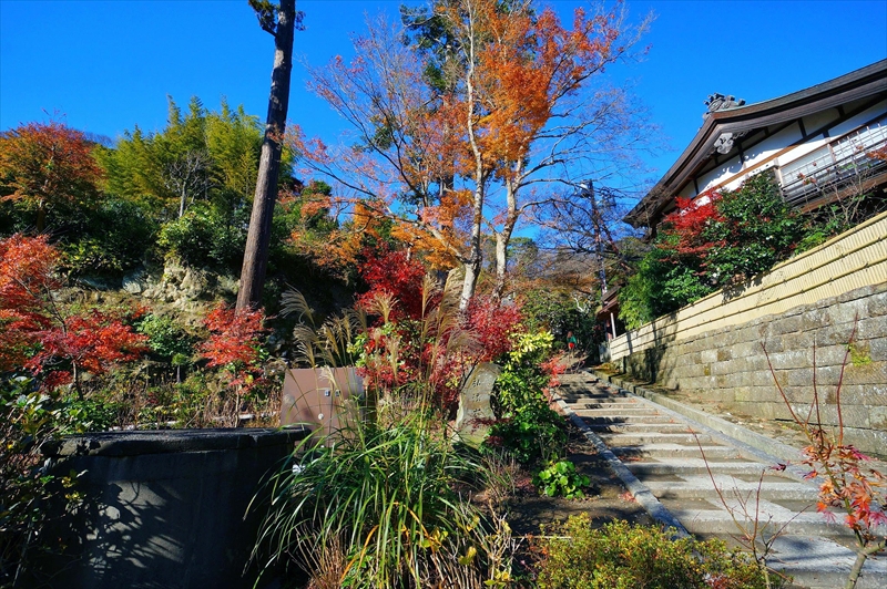 1087_鎌倉円覚寺_神奈川