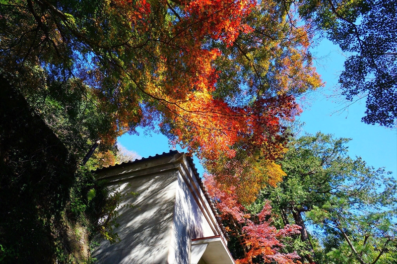 1088_鎌倉円覚寺_神奈川