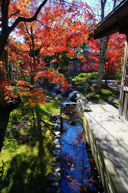 1056_鎌倉鶴岡八幡宮齋館_神奈川