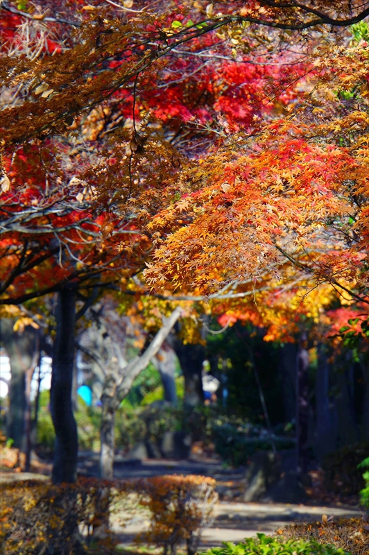 1143_横浜市新羽町_神奈川