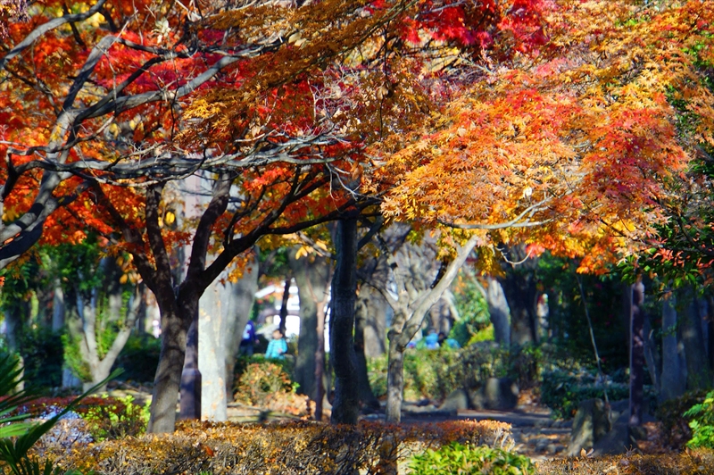 1144_横浜市新羽町_神奈川