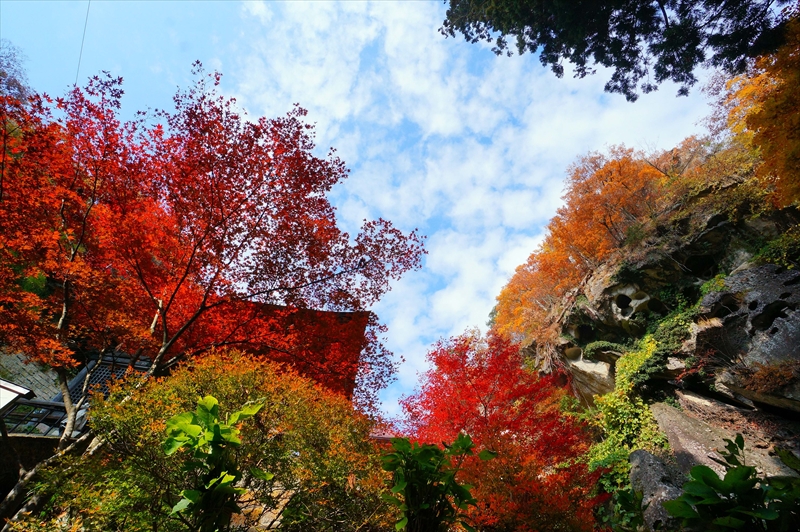 1010_宝珠山 立石寺（山寺）_山形