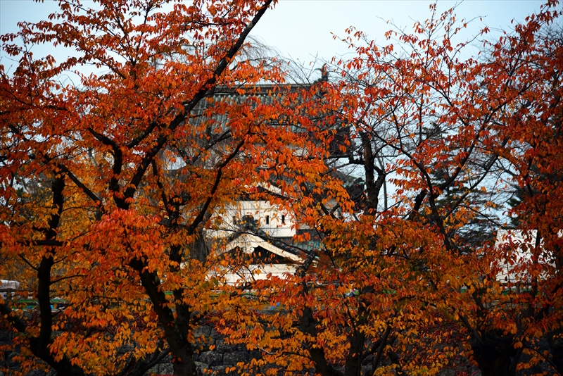 1013_弘前公園_青森