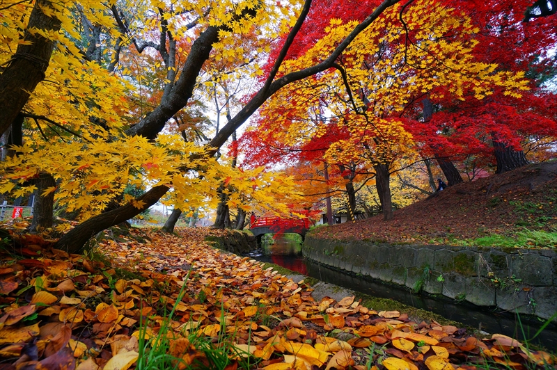 1033_弘前公園_青森