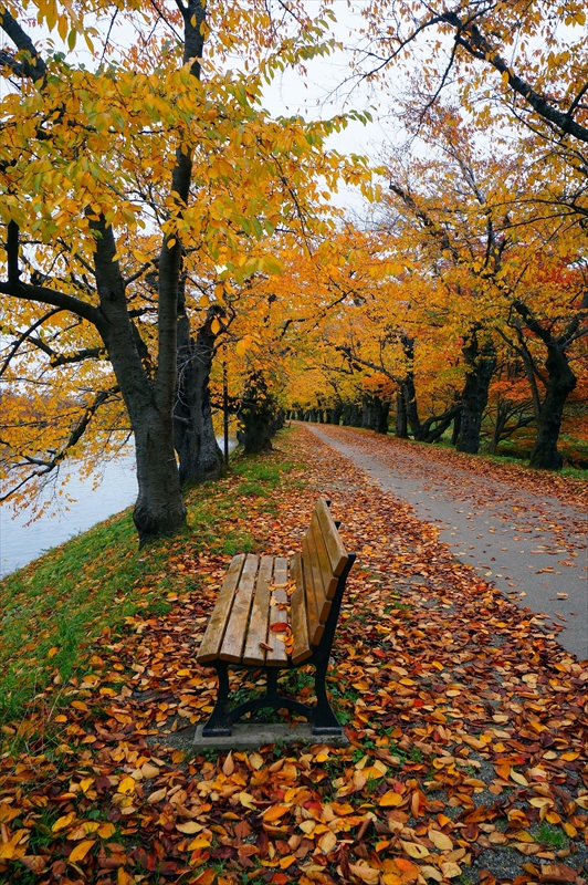 1036_弘前公園_青森